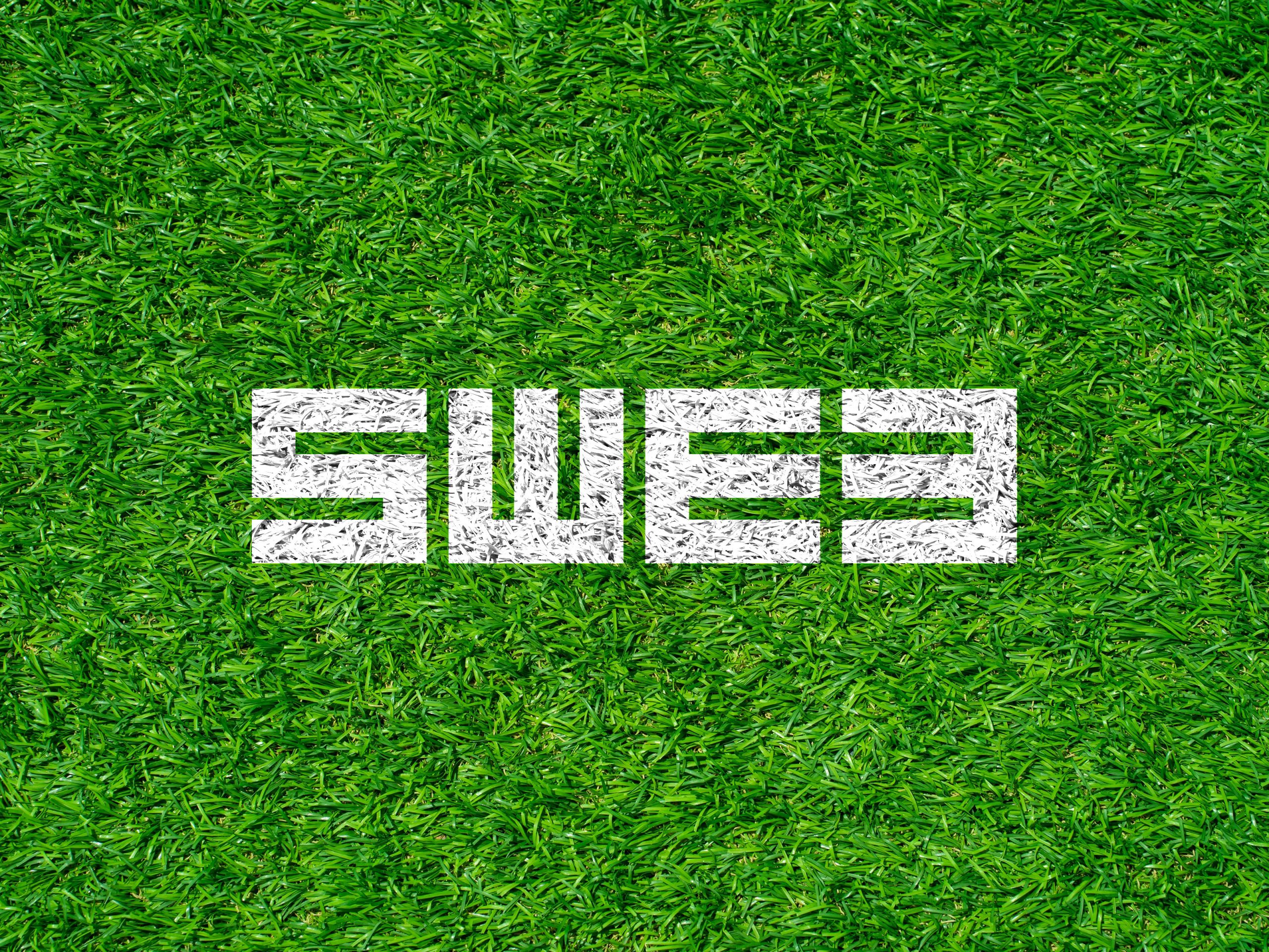 SWE3-Standard